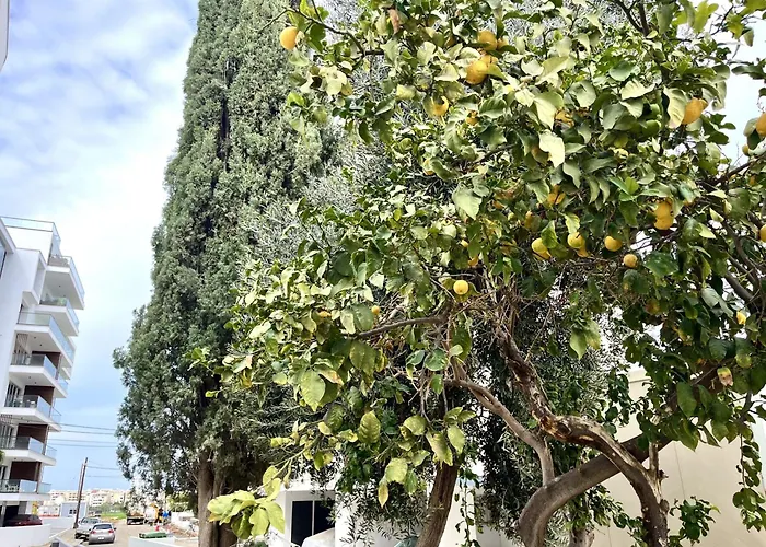 Apartment Blue House Larnaca